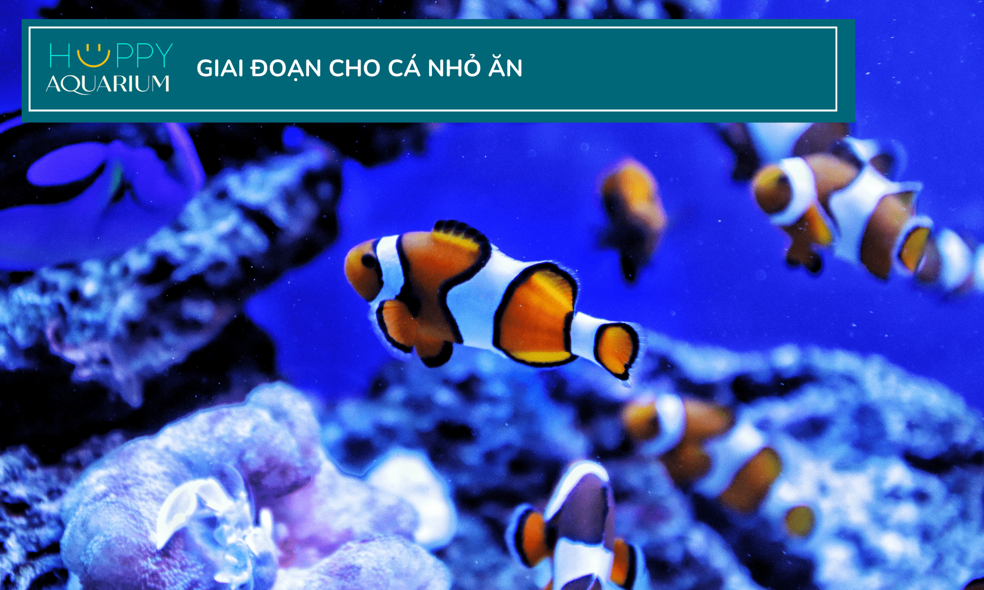 20230802_ufzin6ev 20230802_UFzIN6eV.png