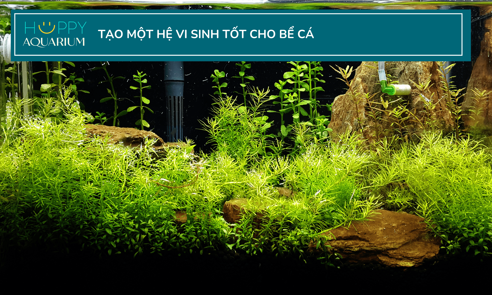 20230922_ozinok7a-1 20230922_ozinok7A.png