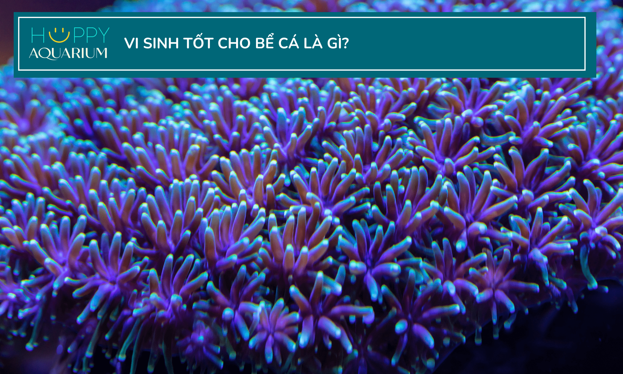 20230930_352ip209-1 20230930_352iP209.png