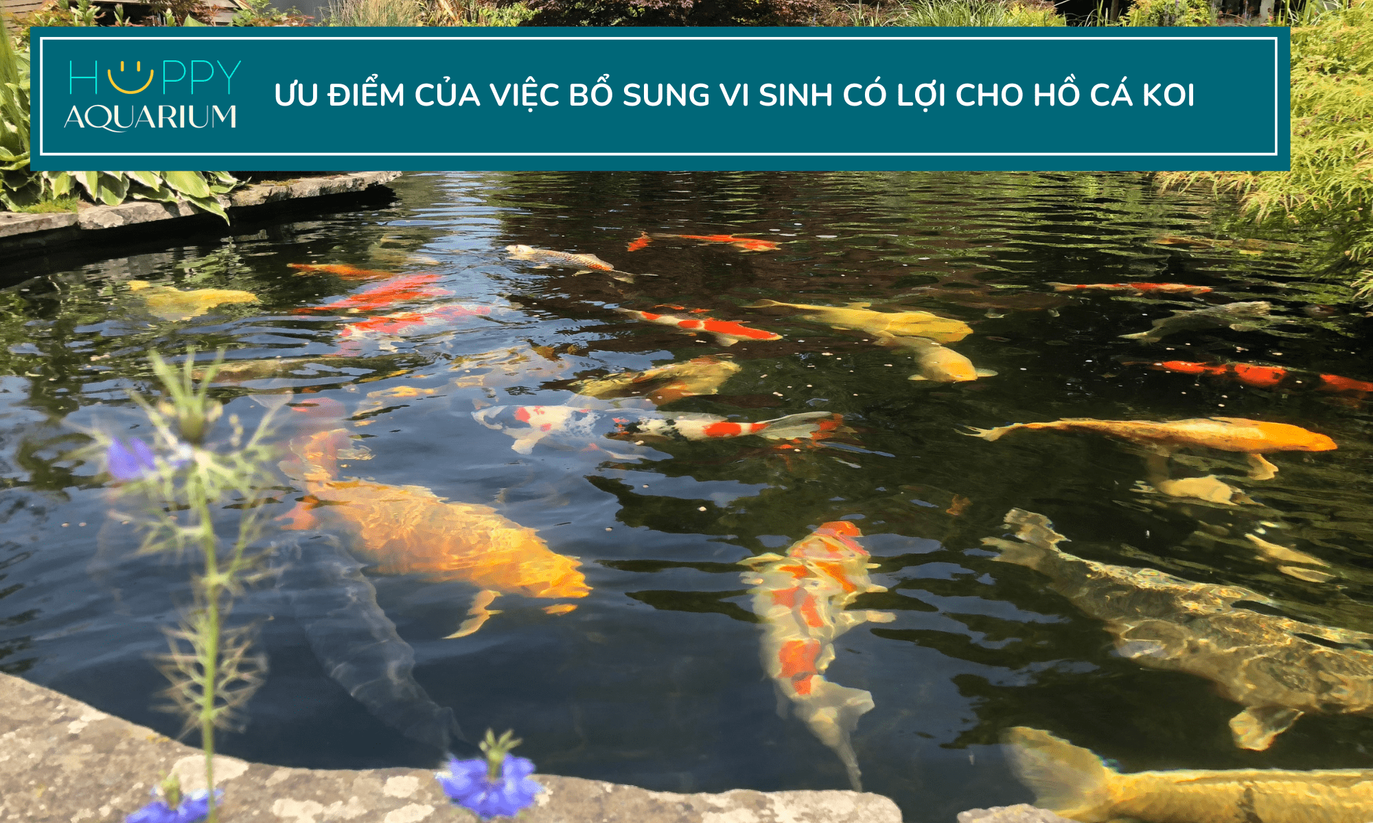 20231002_ciz6kha1 20231002_ciz6KHa1.png