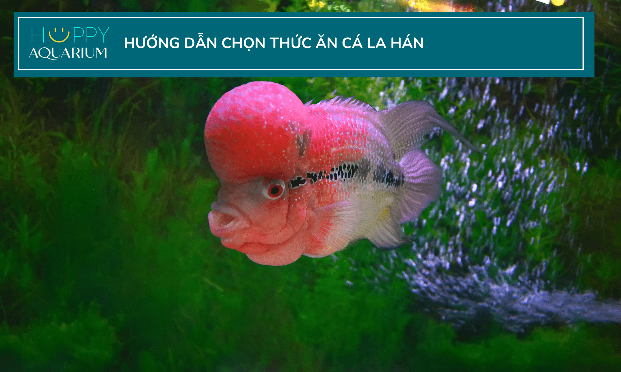 20231006_e19ss09g-1 20231006_e19SS09g.png