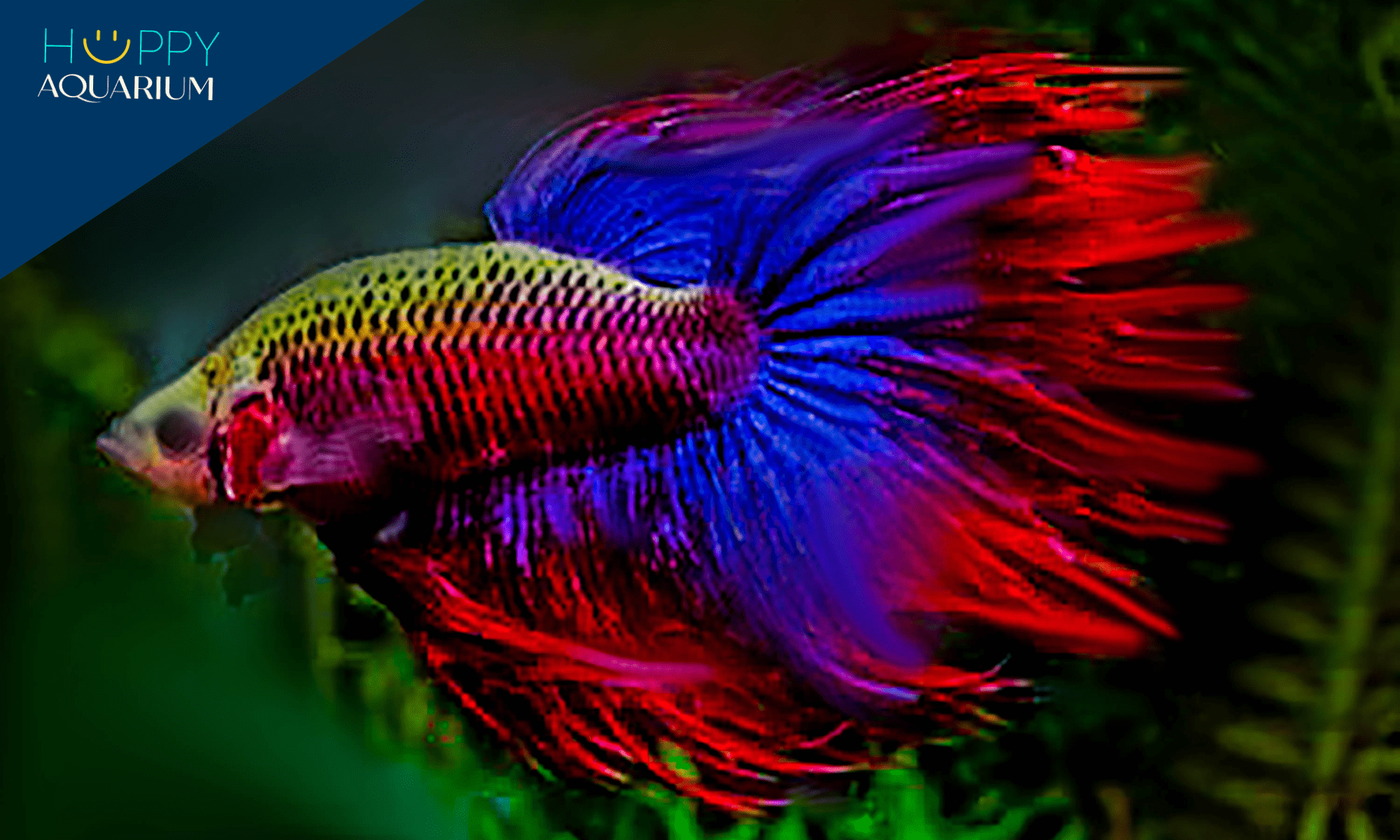 20231031_cyqlk1zt 20231031_CYQlk1ZT.png