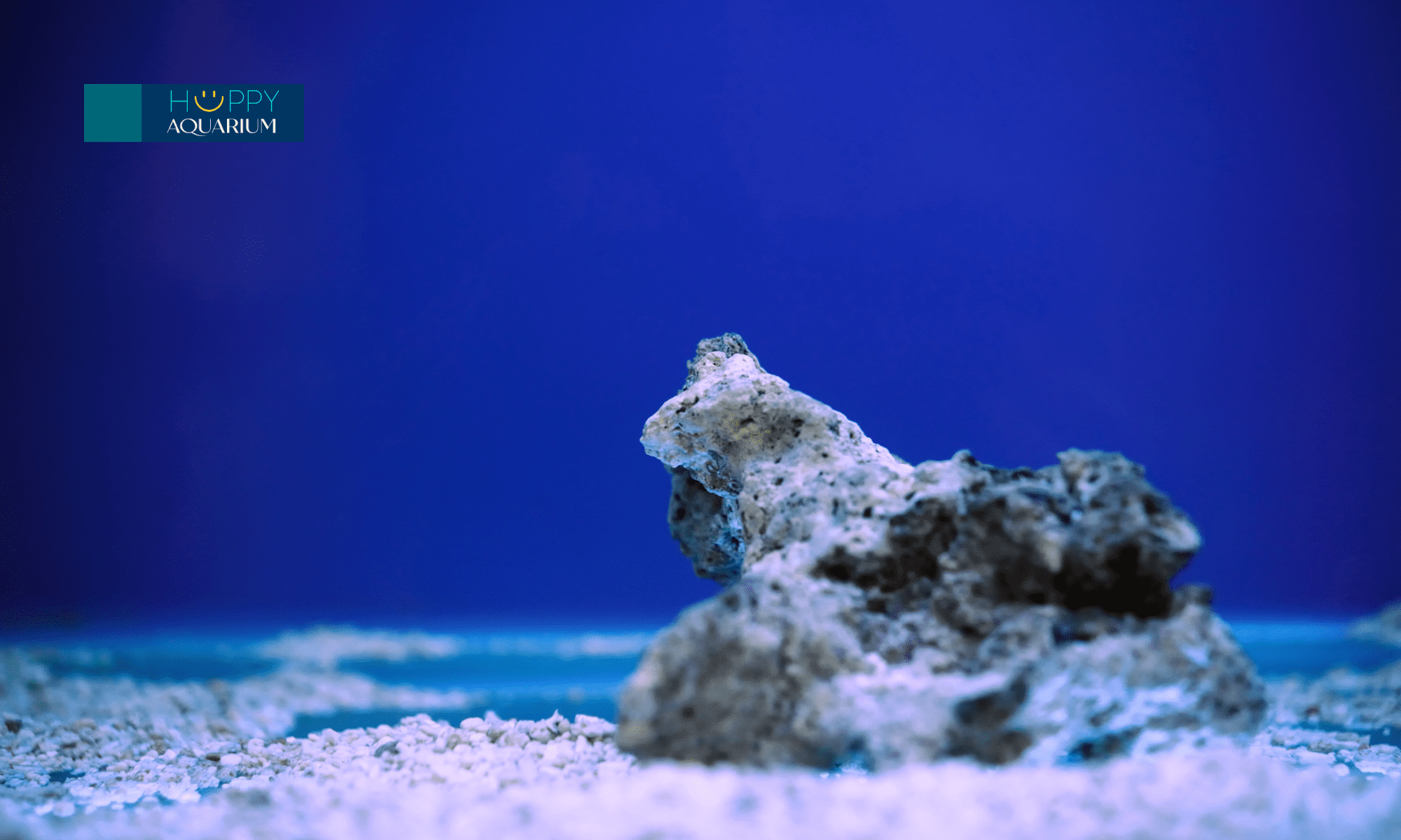 20231205_rb0iwgrf-1 20231205_Rb0IWGrf.png