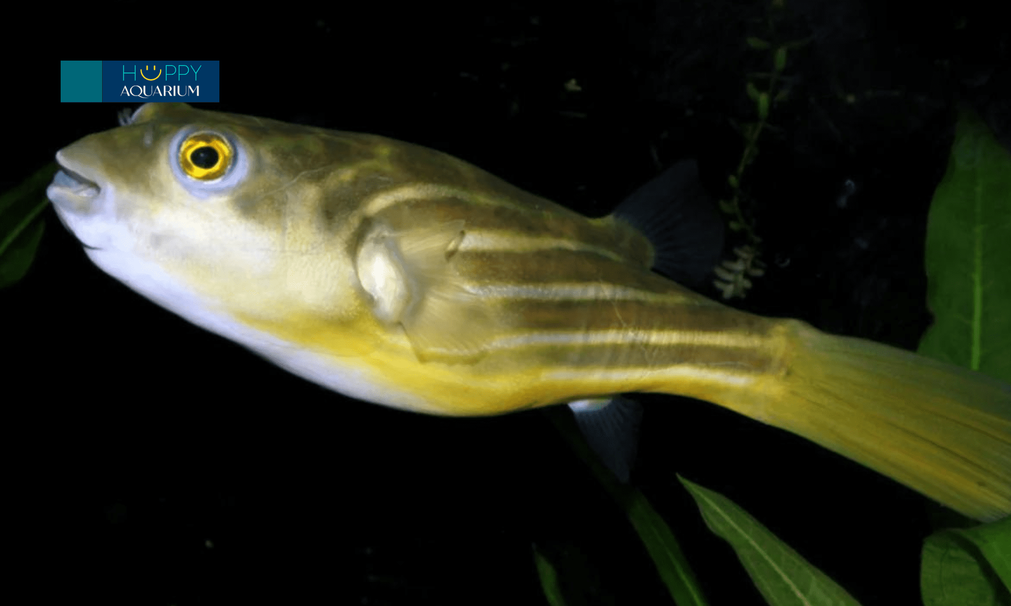 20240518_vast8jzr 20240518_VaST8JZr.png