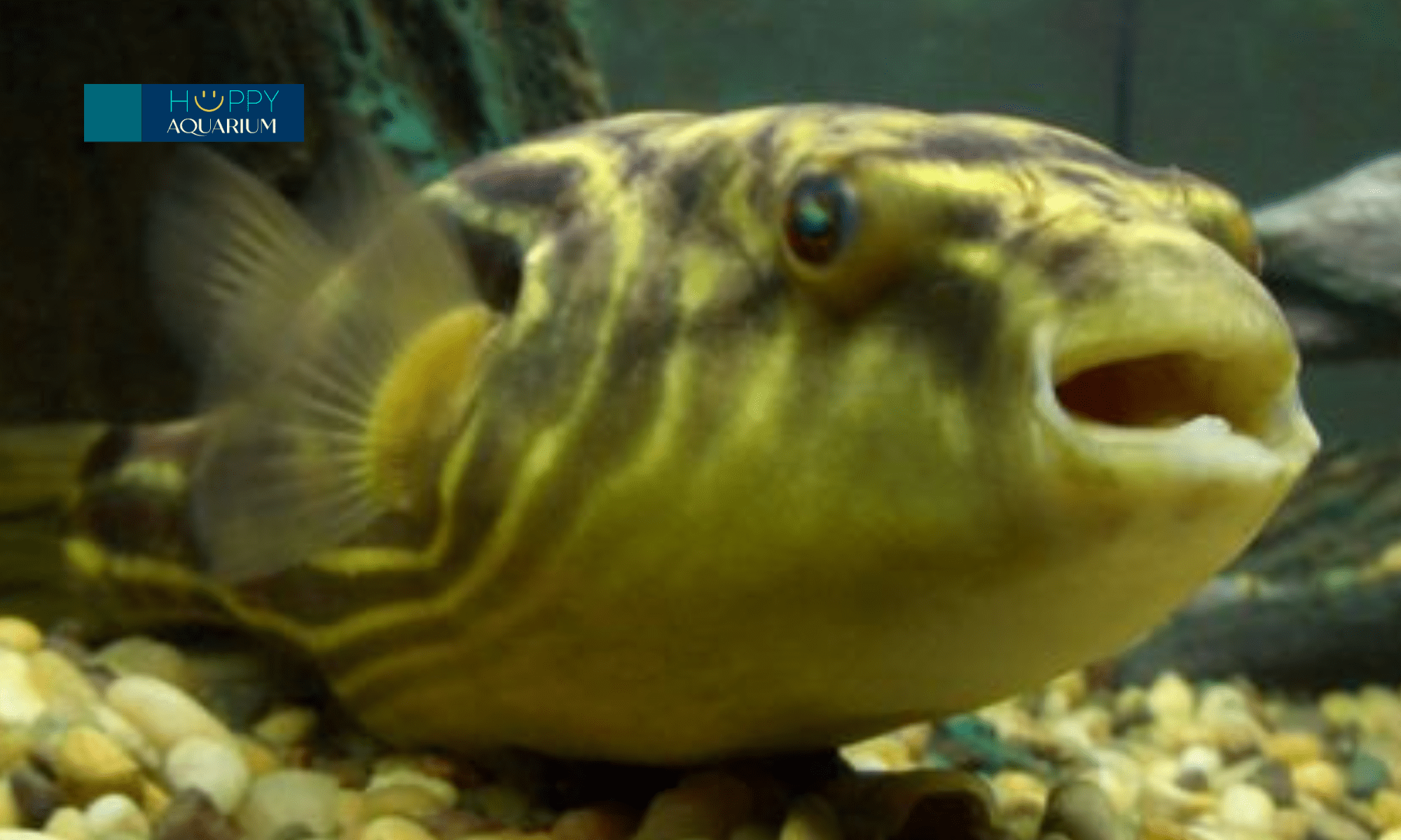 20240530_tvyxft3j-1 20240530_tVyxft3j.png
