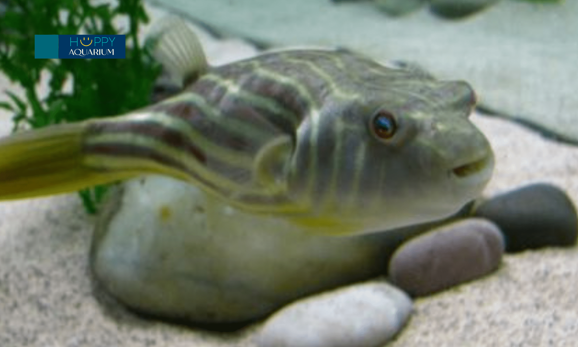 20240531_9hgovkqb-1 20240531_9hgoVKqB.png