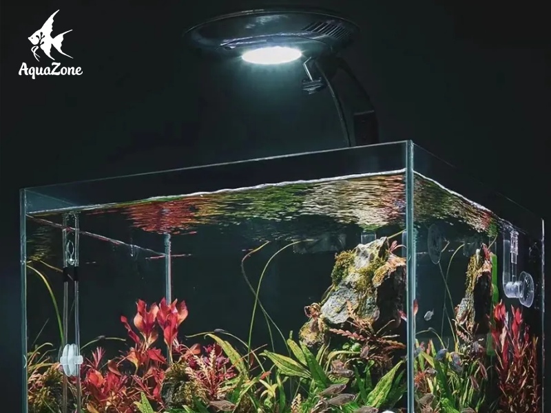 mo-ta-2_0b99097ce07748af97839d13e1c86783 Zetlight UFO F8 PRO mang đến ánh sáng vô cùng tự nhiên cho bể cá