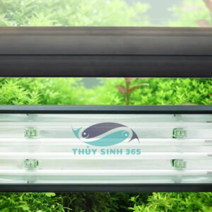 odyssea t5ho 4 bong compact 120cm 140cm den thuy sinh cao cap 1