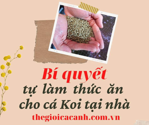 AXqE9uXgmSt-bEp5EH262HyOYLDSv-YR2JdiUdkgoymgE5BRtsslArD7l1t2qm_oqvwcJOYzz8Tv0x6seCqv78FkYeYQVh_kH30ycQgQDJWDPrRVv87y19e0VGZunZRHxMEkZSnQ