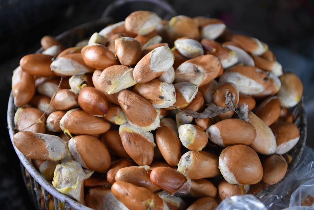 hat-sau-rieng-co-an-duoc-khong_451638502 Hạt sầu riêng có ăn được không