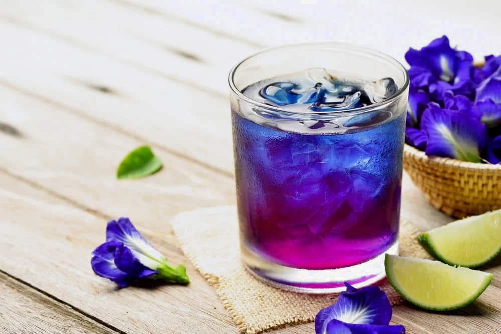 hoa-dau-biec-2 trái đậu biếc có ăn được không