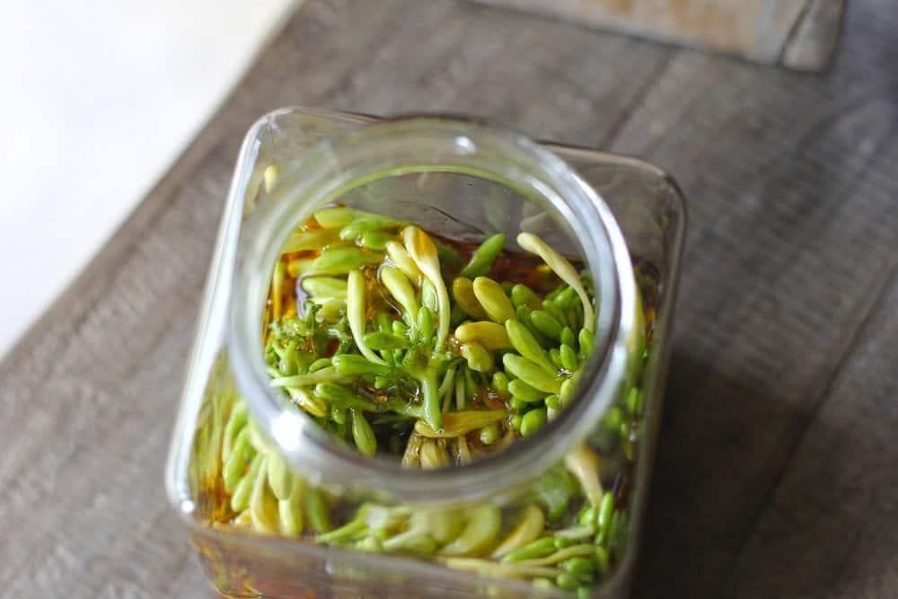 hoa-du-du-duc-ngam-mat-ong tác dụng hoa đu đủ đực