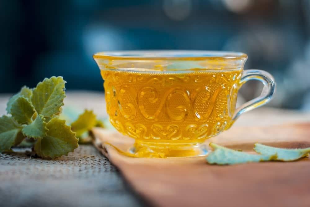 rau-tan-day-la-pha-tra Tác dụng của rau tần dày lá: Giảm đau bụng kinh