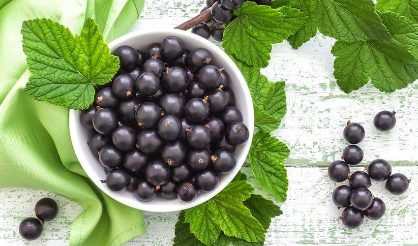 trai-cay-giacc80u-vitamin-c-1 trái cây giàu vitamin c - quả lý đen